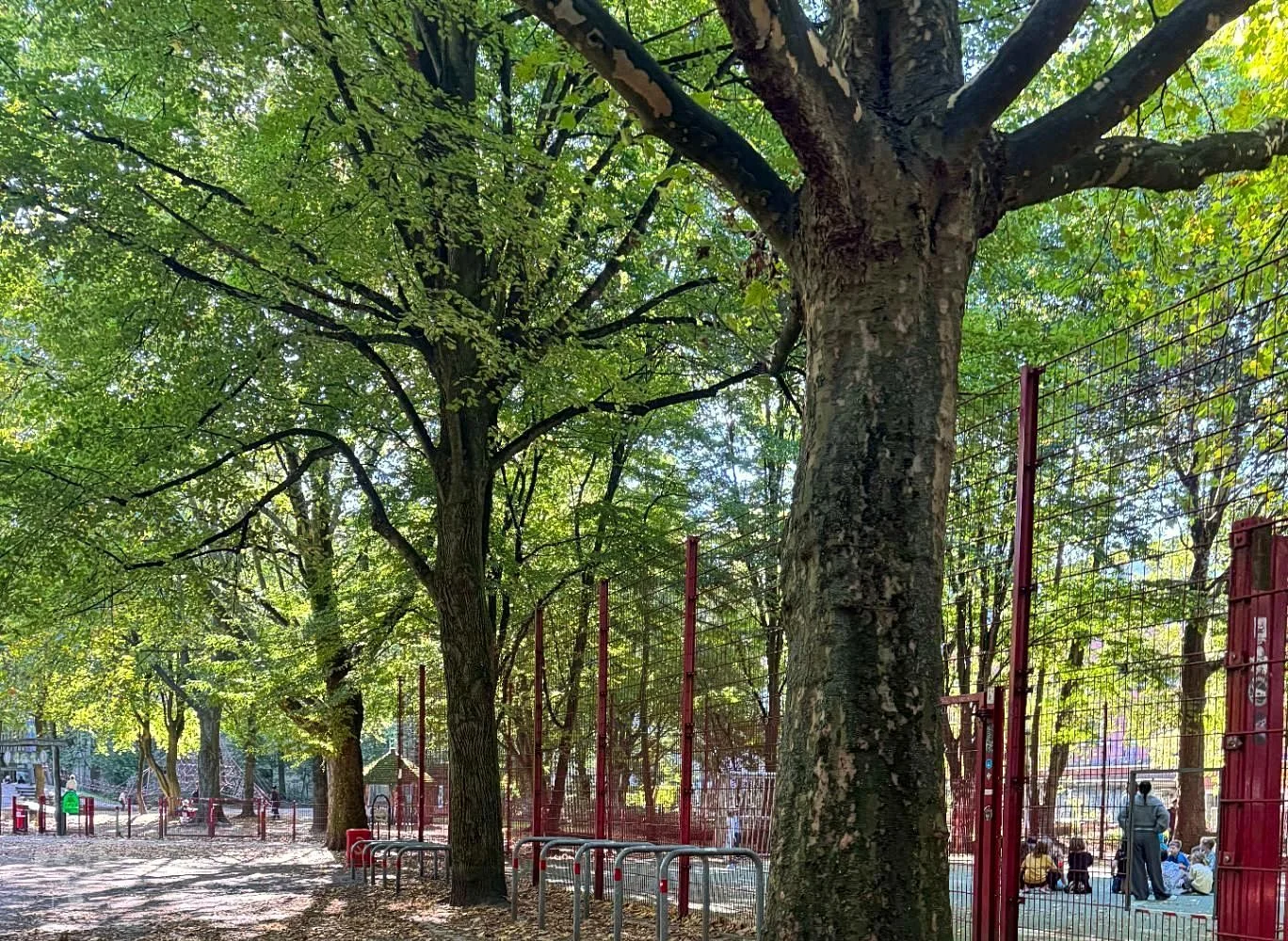 Spielplätze Lindenallee – Foto 24