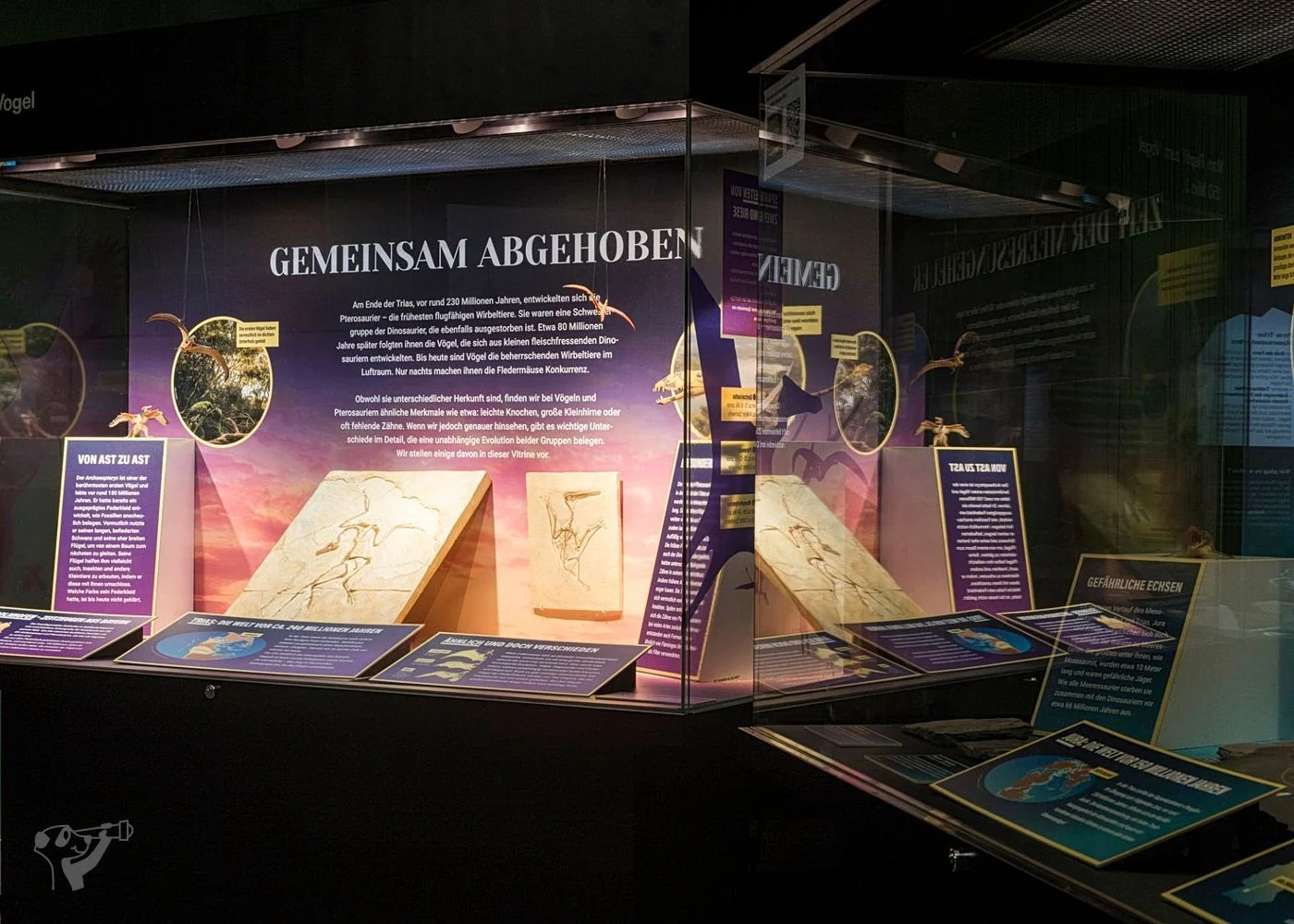 Museum der Natur · Geologische Ausstellung – Foto 2