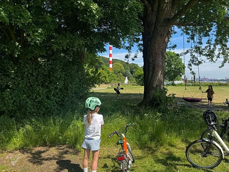 Baumschaukeln an der Elbe – Bild 17