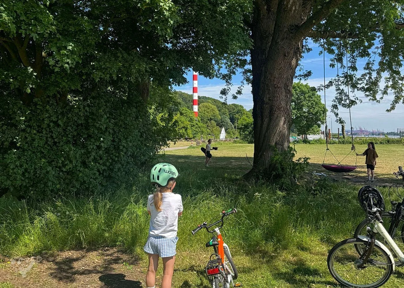 Baumschaukeln an der Elbe – Foto 17