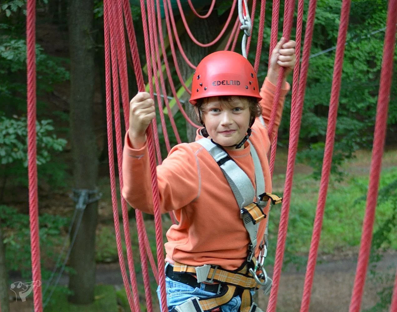 schnurstracks Kletterpark – Foto 4