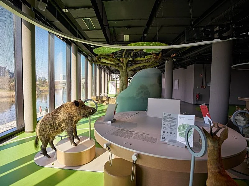 Botschaft der Wildtiere – Bild 3