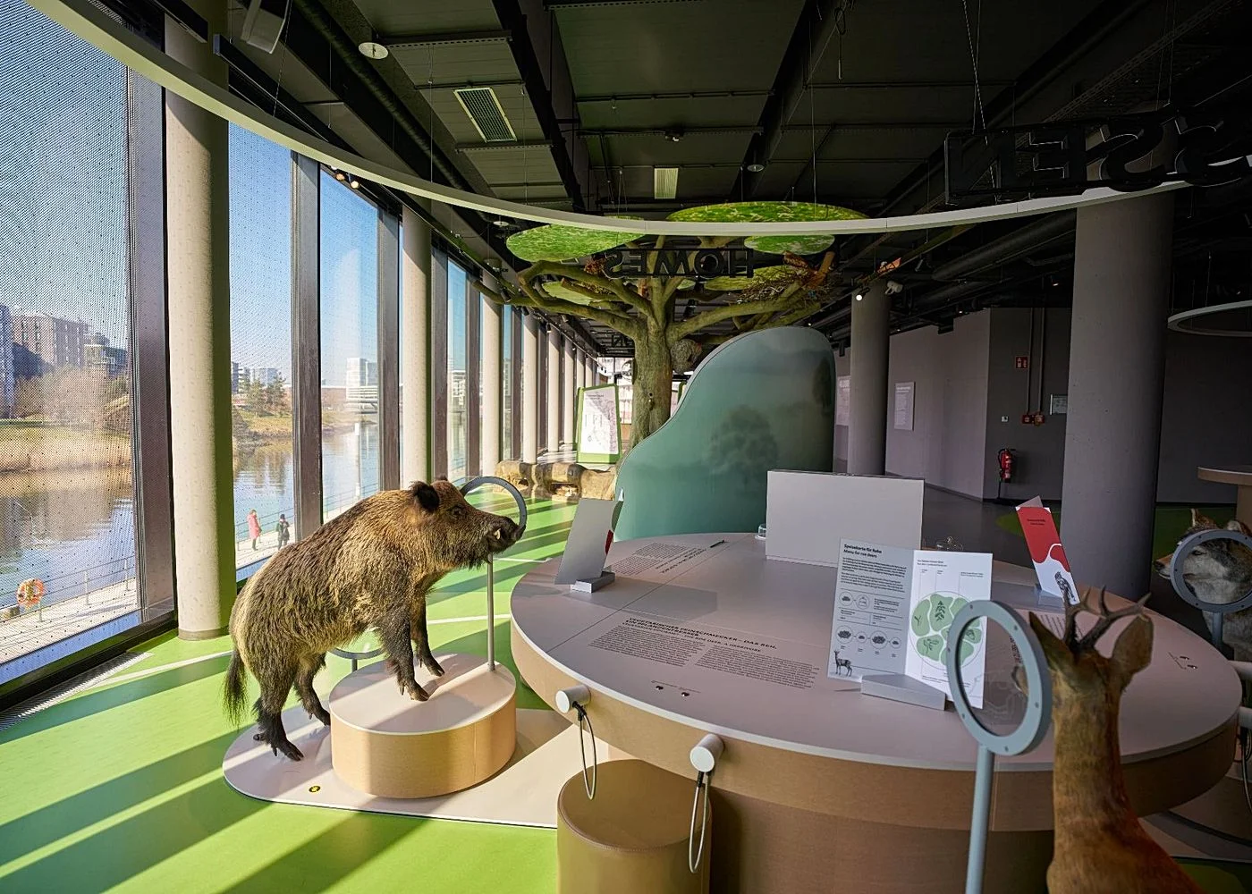 Botschaft der Wildtiere – Foto 3