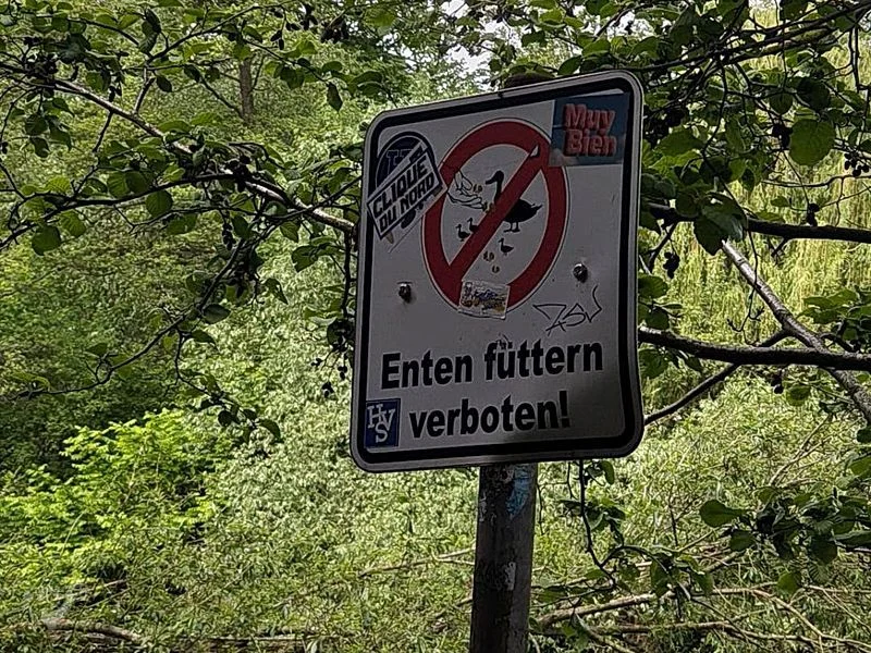 Eppendorfer Mühlenteich – Bild 12
