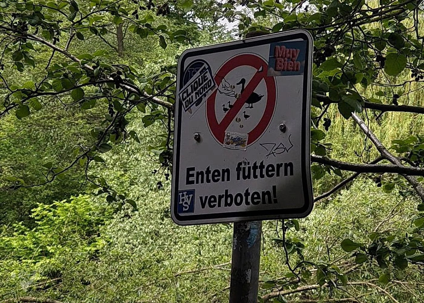 Eppendorfer Mühlenteich – Foto 11