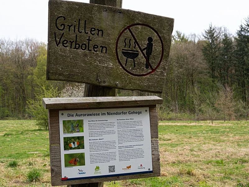 Niendorfer Gehege Lehrpfad – Bild 5