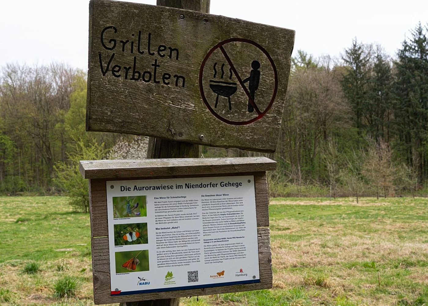 Niendorfer Gehege Lehrpfad – Foto 5