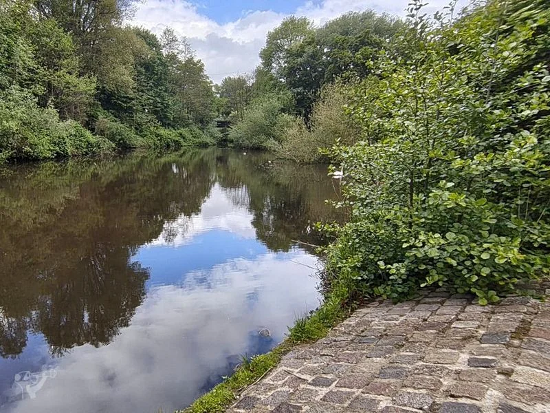 Eppendorfer Mühlenteich – Bild 13