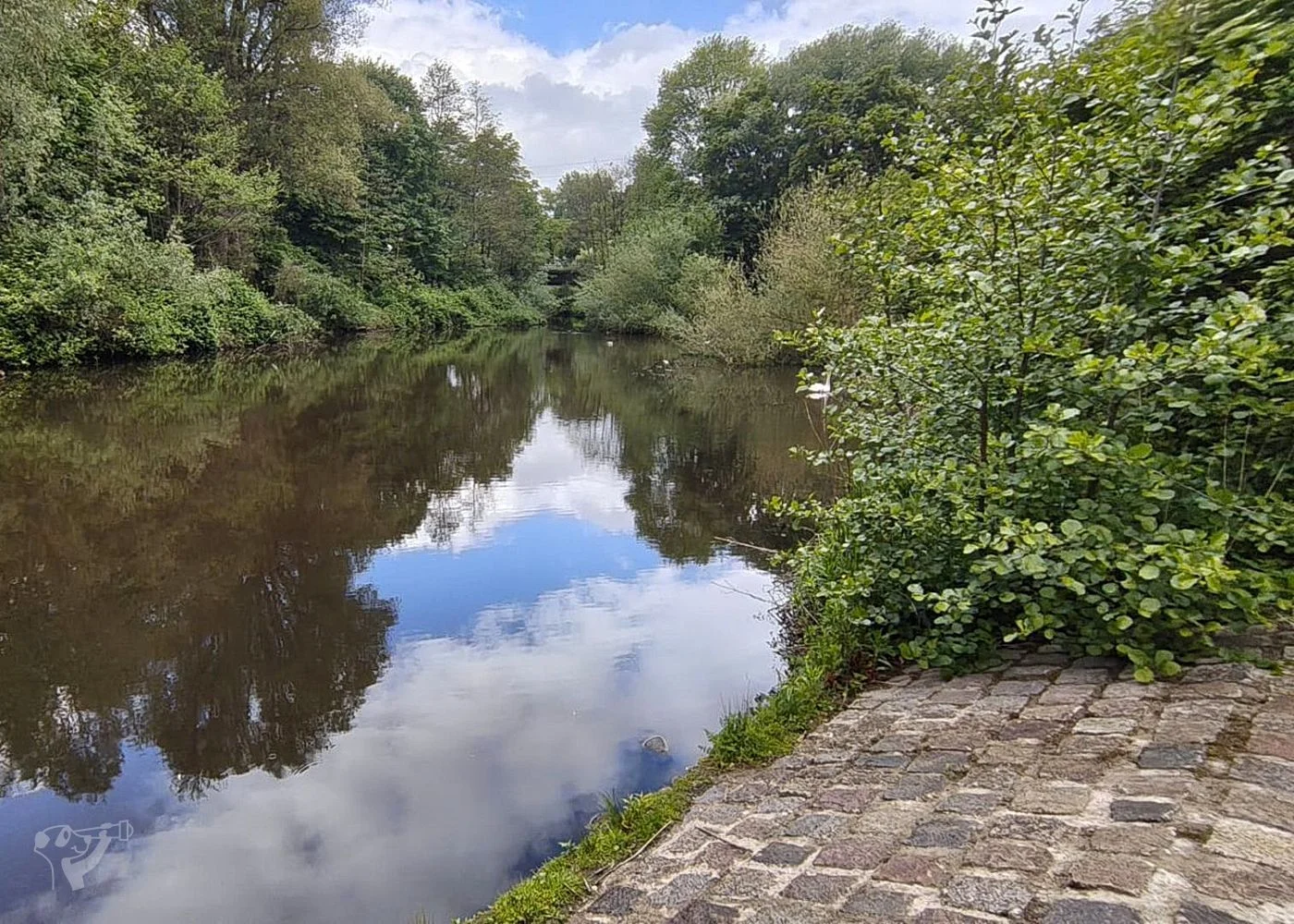 Eppendorfer Mühlenteich – Foto 12