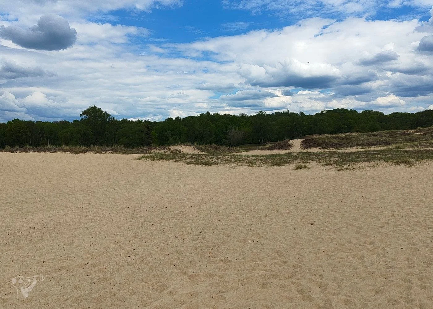 Boberger Dünen – Foto 11