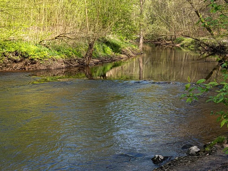 Drachenschlucht Wellingsbüttel – Bild 11
