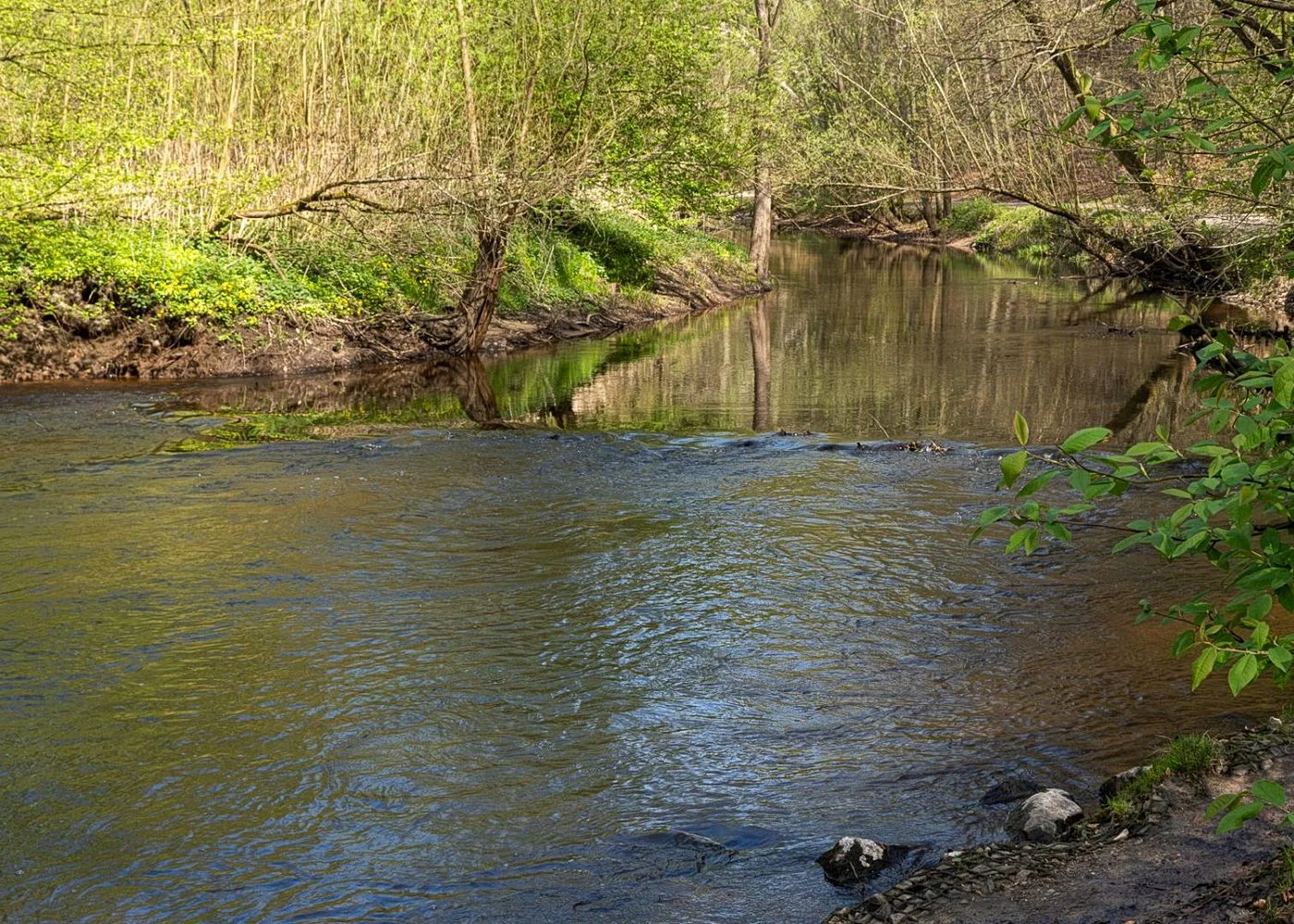 Drachenschlucht Wellingsbüttel – Foto 11