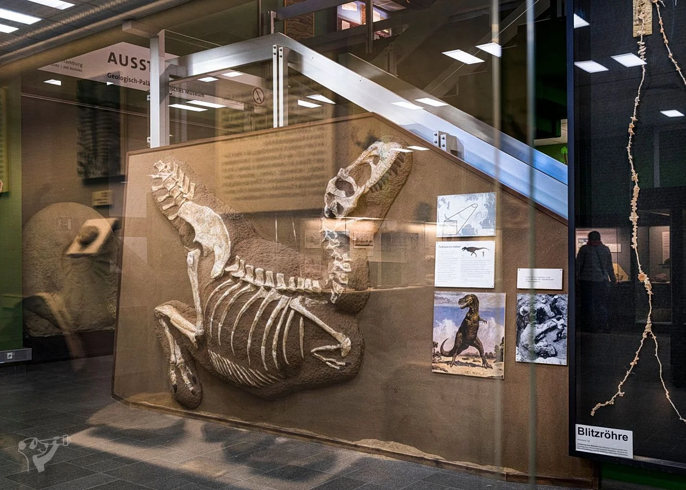 Museum der Natur · Geologische Ausstellung – Foto 7