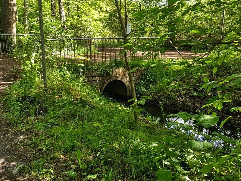Naturschutzgebiet Raakmoor – Bild 16