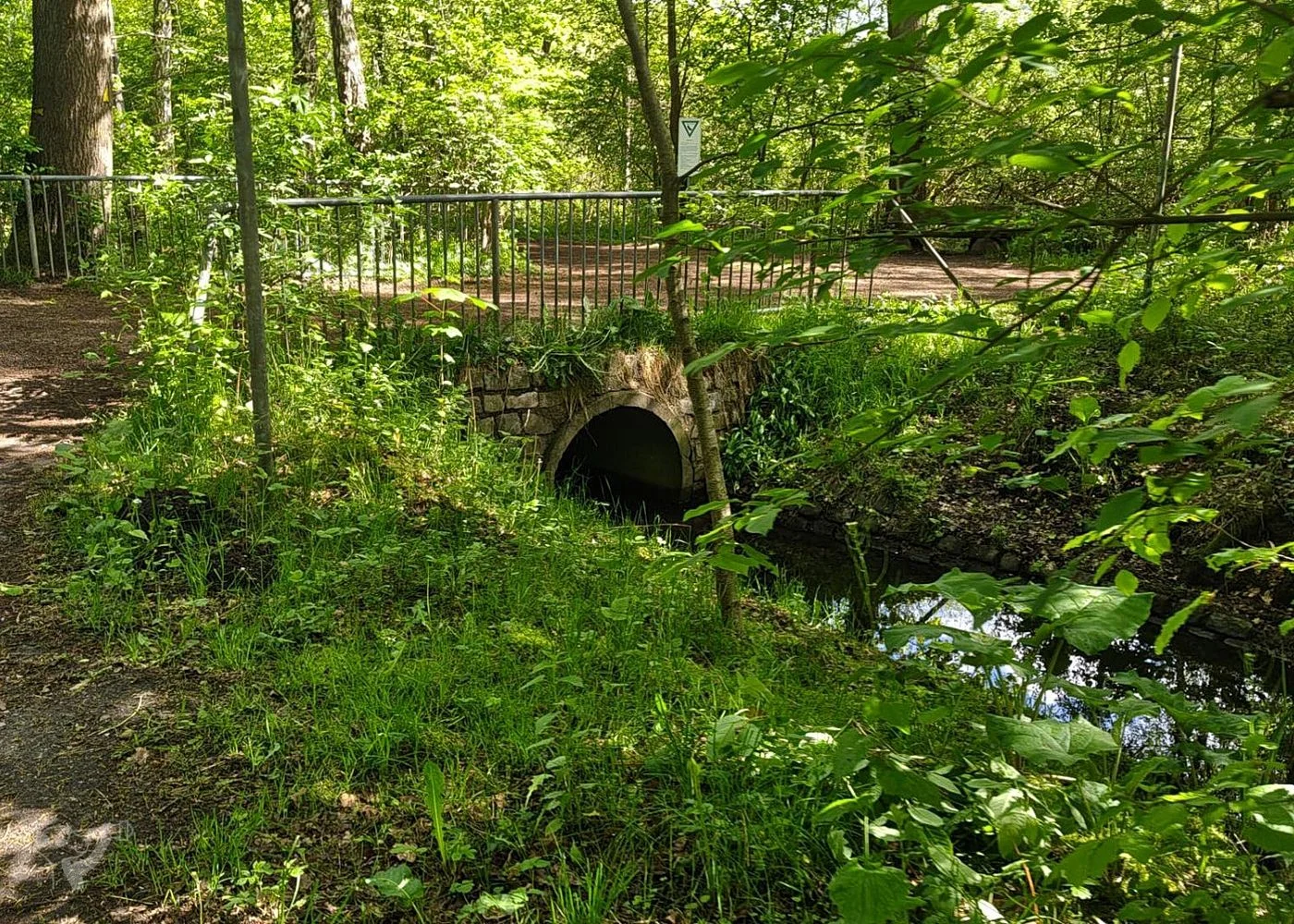 Naturschutzgebiet Raakmoor – Foto 16
