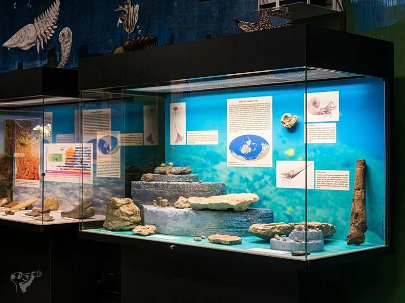 Museum der Natur · Geologische Ausstellung – Bild 2