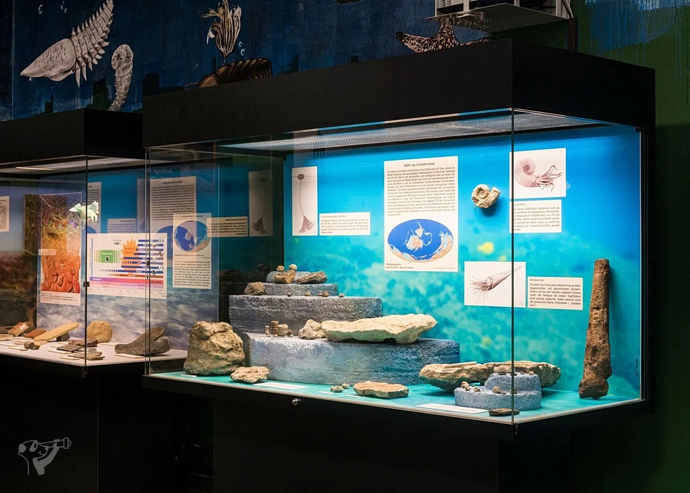 Museum der Natur · Geologische Ausstellung – Foto 1