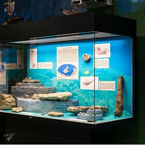 Museum der Natur · Geologische Ausstellung