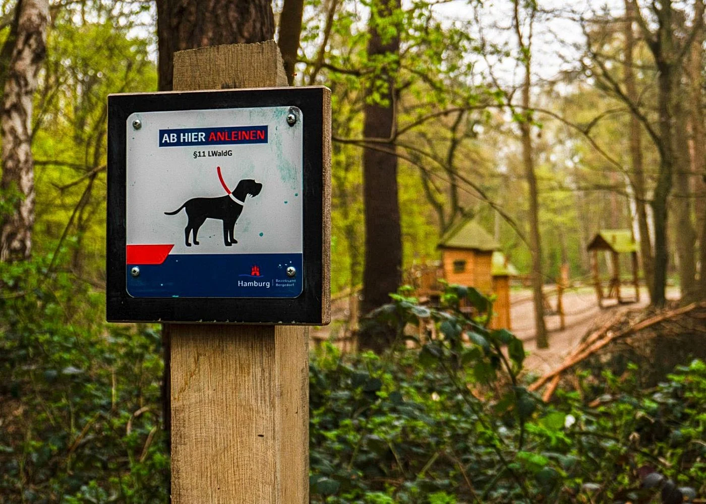 Spielplatz Sander Tannen – Foto 13