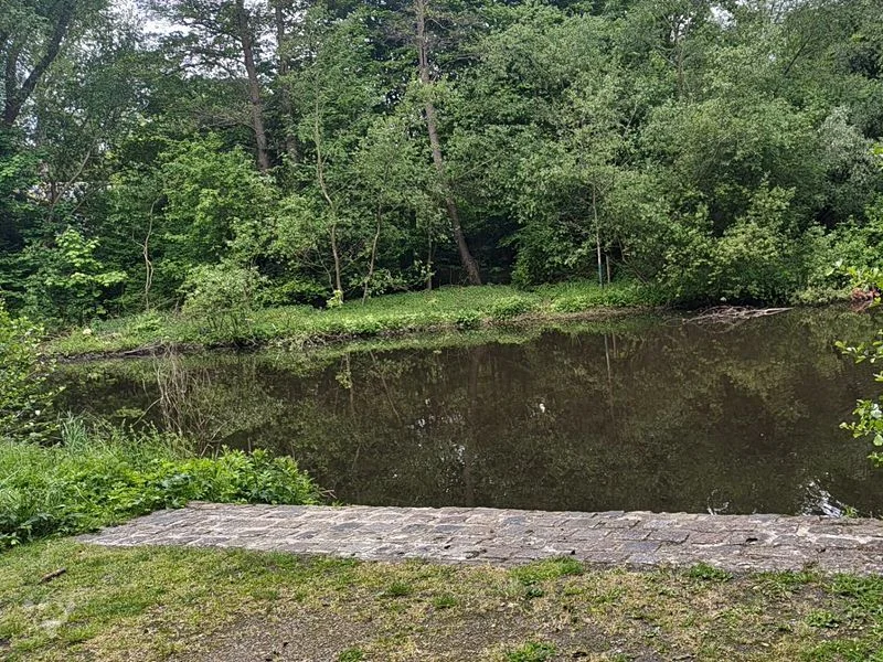 Eppendorfer Mühlenteich – Bild 10