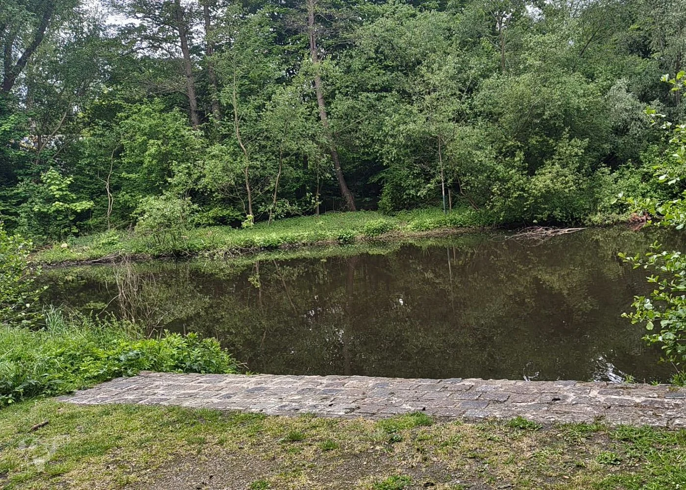 Eppendorfer Mühlenteich – Foto 9