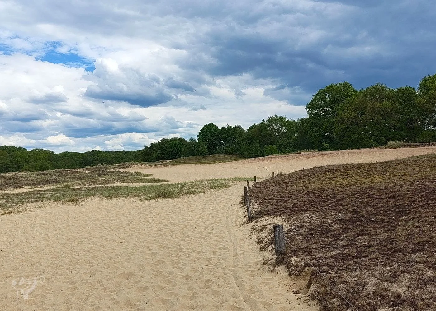 Boberger Dünen – Foto 10