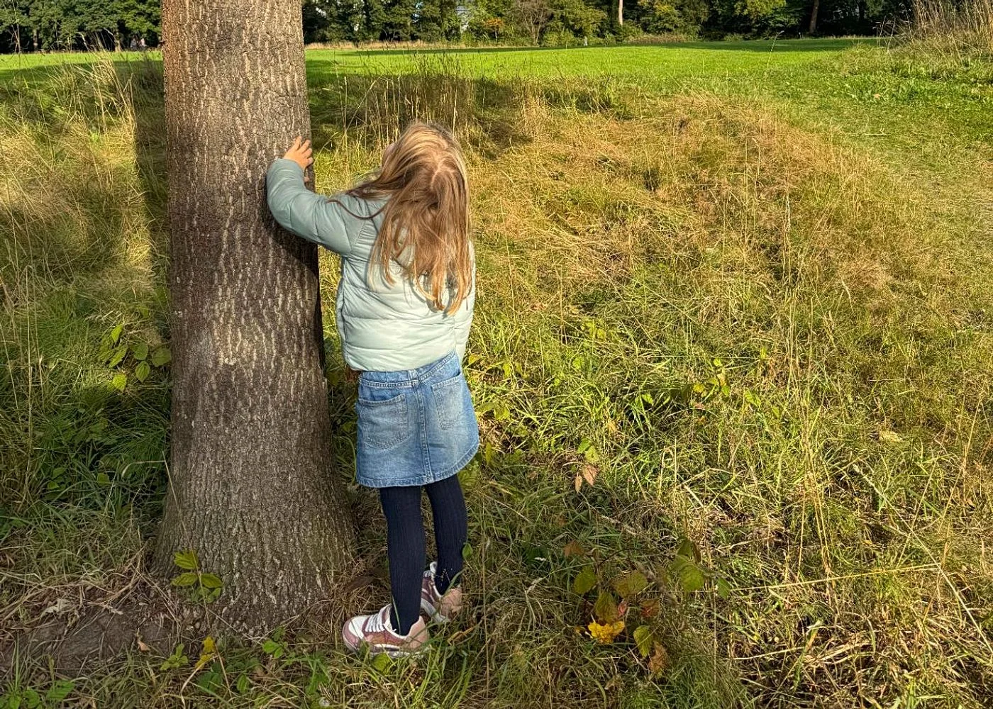 Spielplatz im Jenischpark