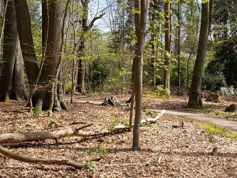 Drachenschlucht Wellingsbüttel – Bild 14