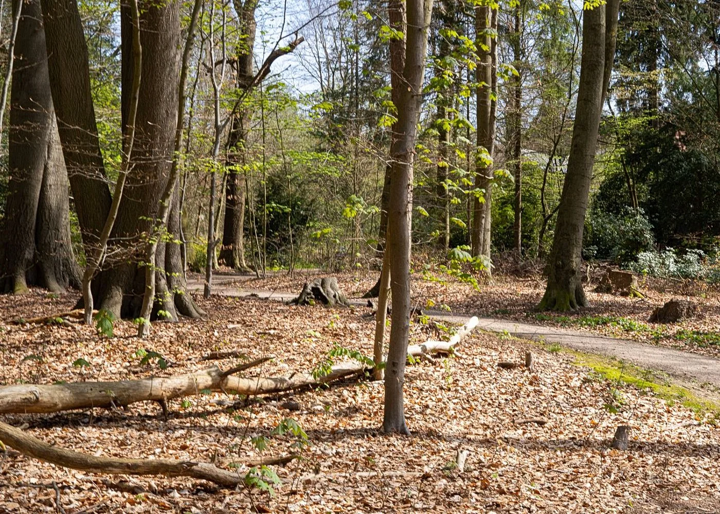 Drachenschlucht Wellingsbüttel – Foto 14