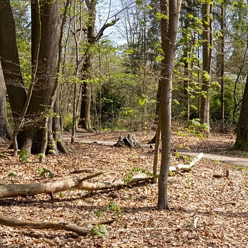 Drachenschlucht Wellingsbüttel