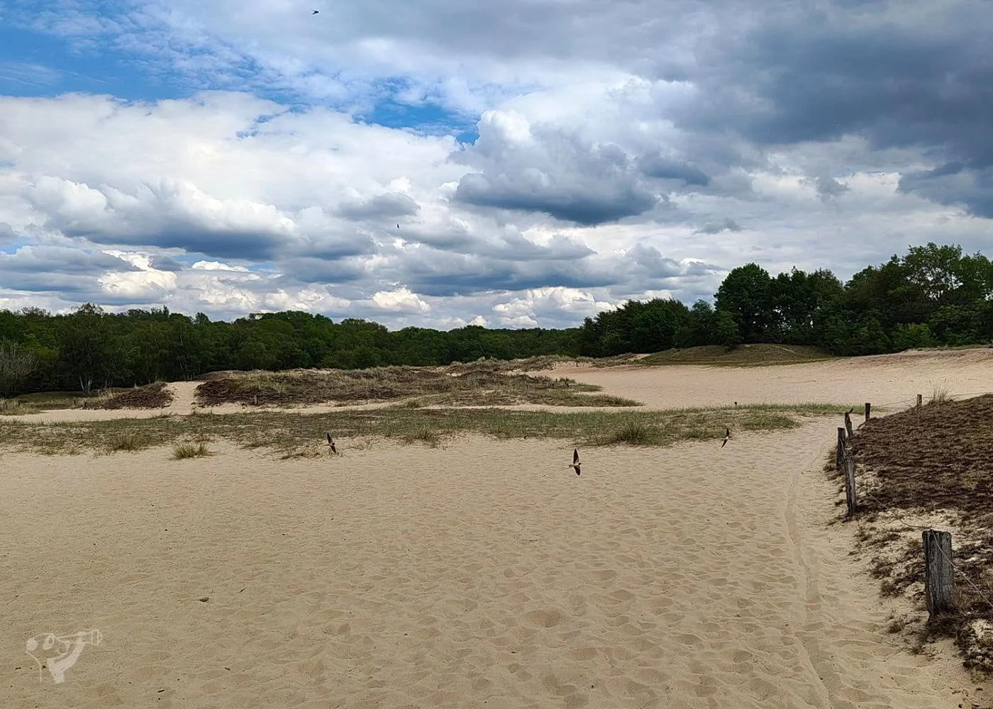 Boberger Dünen – Foto 3