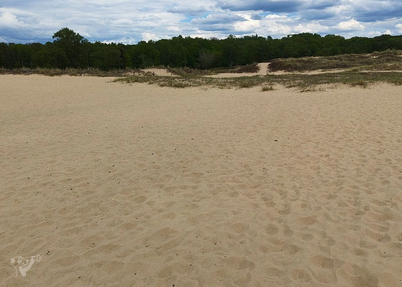 Boberger Dünen – Foto 4