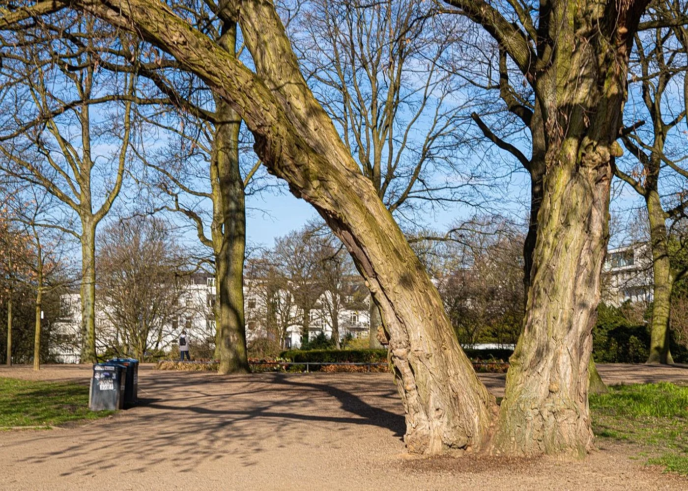 Altonaer Balkon – Foto 6