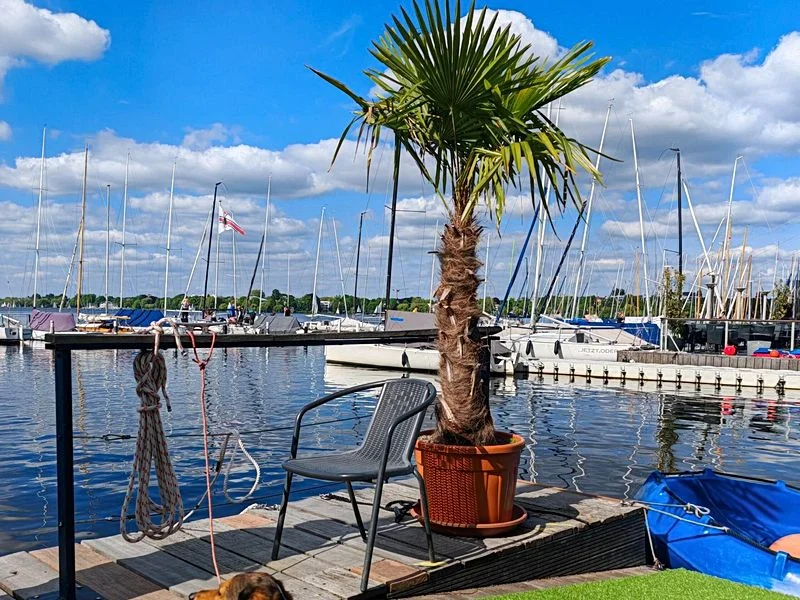 Schnuppersegeln Hamburger Außenalster  – Bild 6
