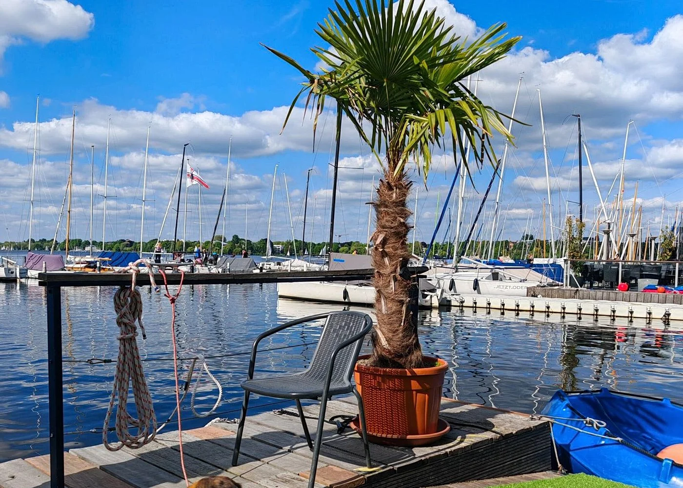 Schnuppersegeln Hamburger Außenalster – Foto 5