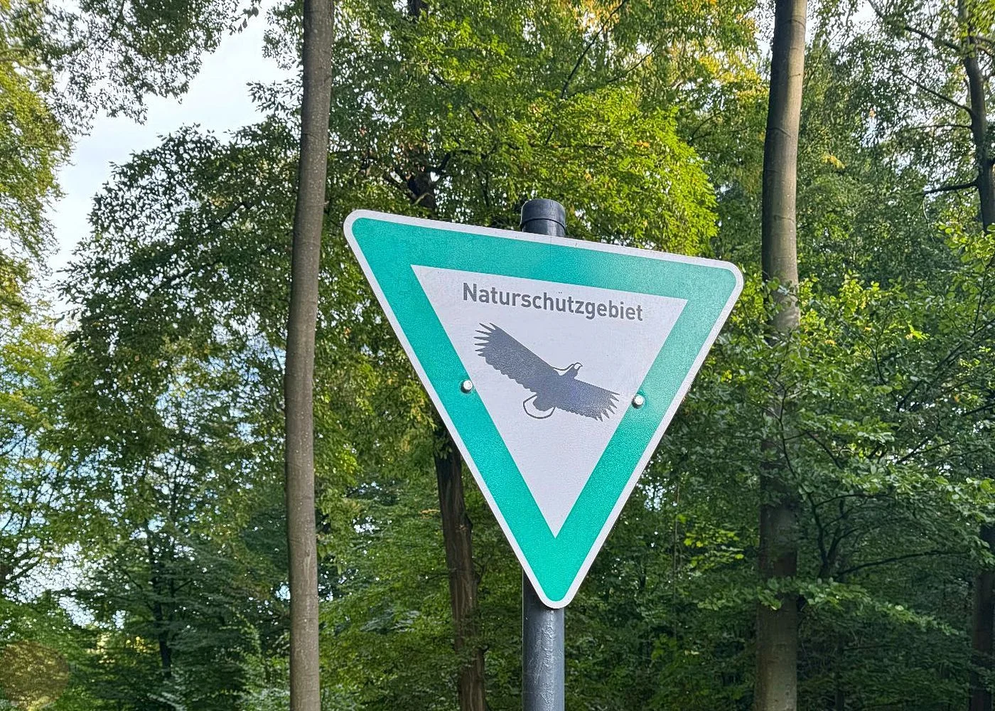 Spielplatz im Jenischpark