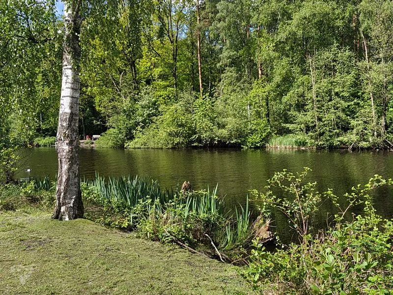 Naturschutzgebiet Raakmoor – Bild 17