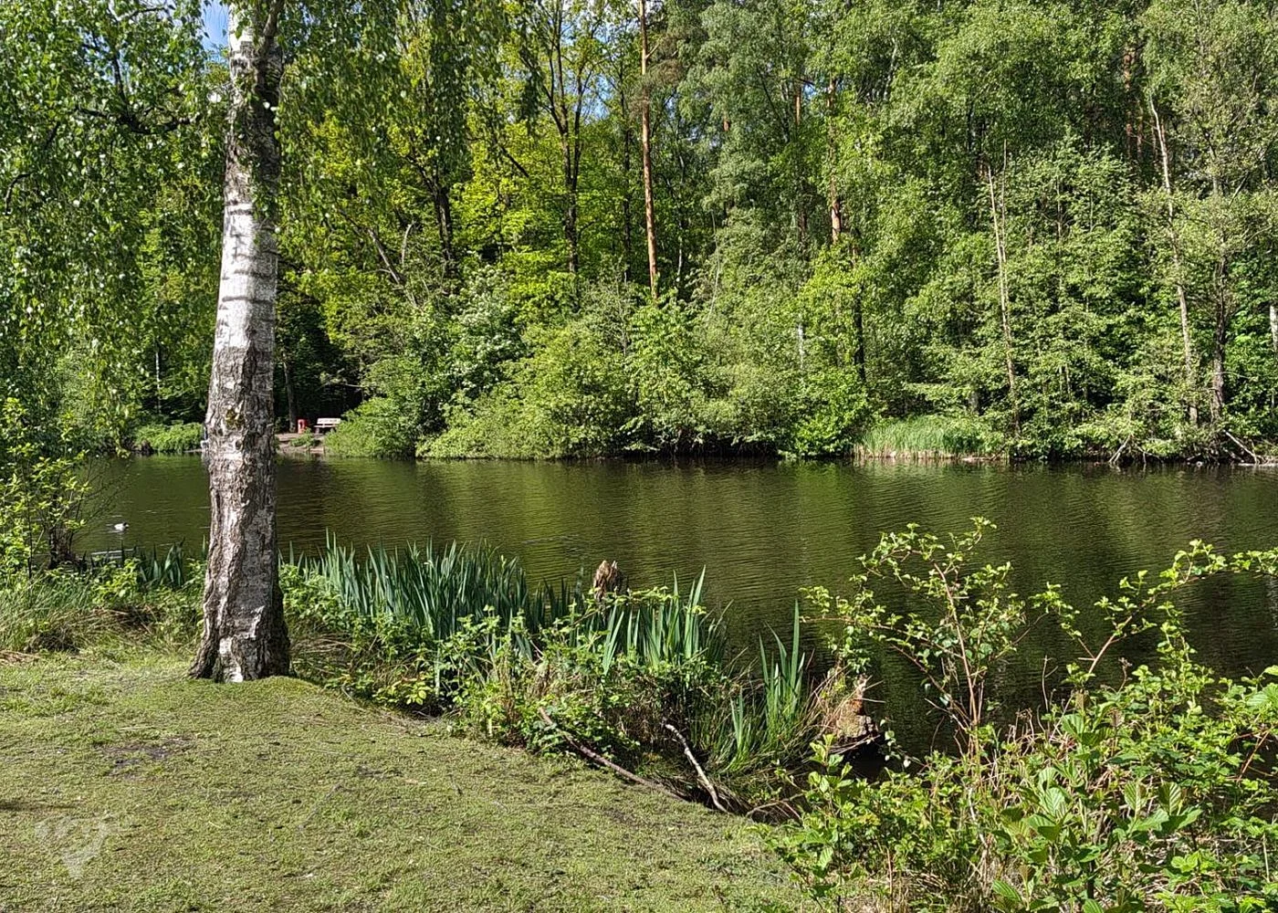 Naturschutzgebiet Raakmoor – Foto 17