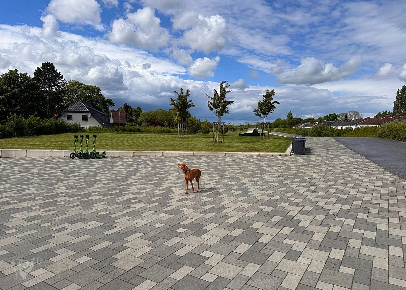 Deckelpark Stellingen – Foto 2