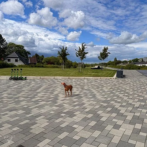 Deckelpark Stellingen