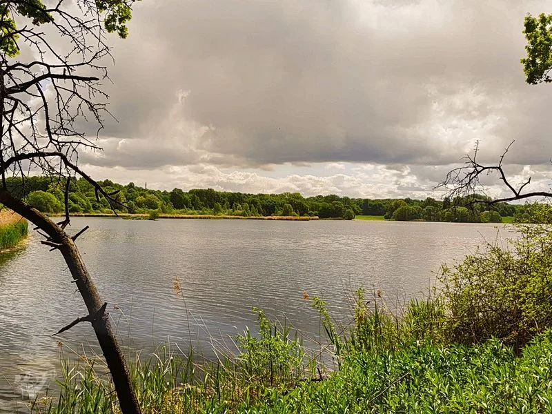 Öjendorfer Park – Bild 18