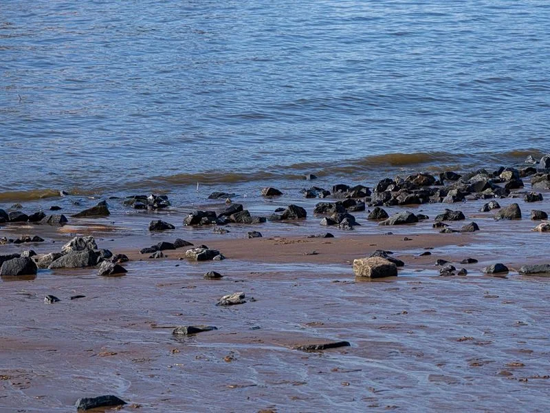 Elbstrand – Bild 12