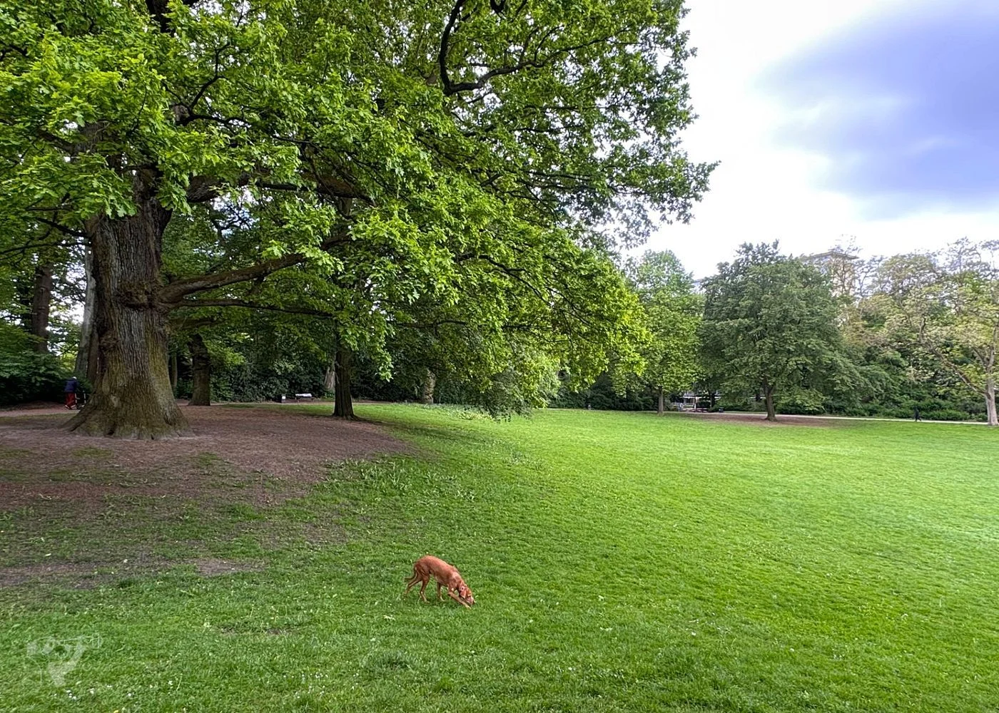 Spielplatz Parkallee im Innocentiapark – Foto 19