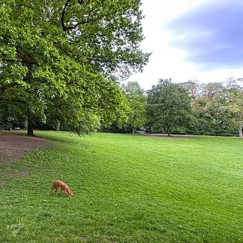Spielplatz Parkallee im Innocentiapark