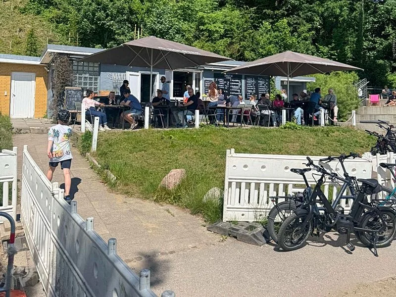 Baumschaukeln an der Elbe – Bild 24