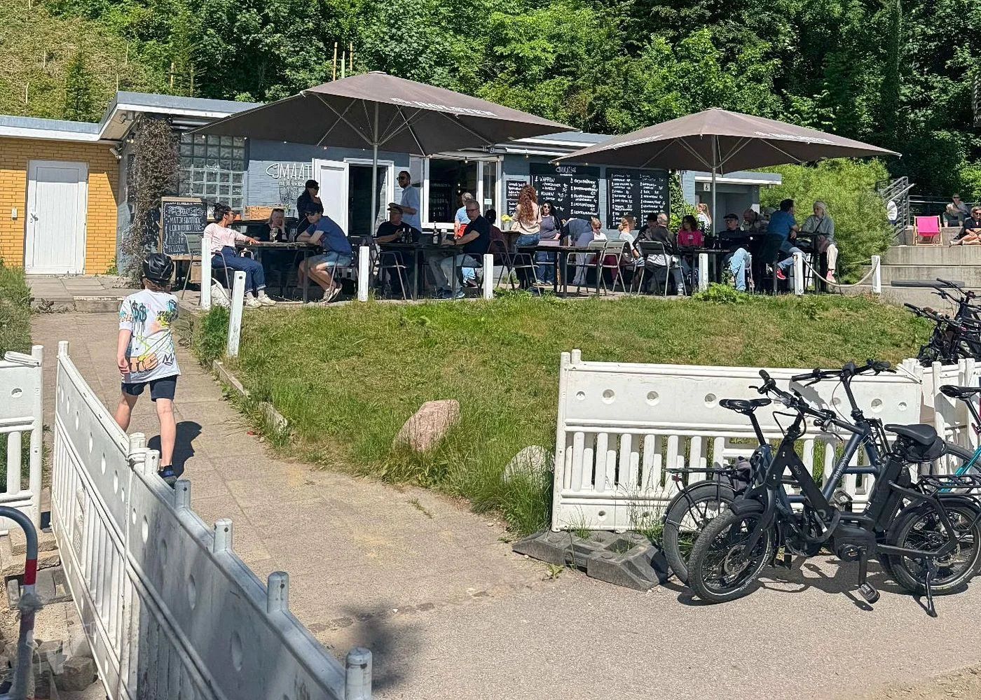 Baumschaukeln an der Elbe – Foto 24