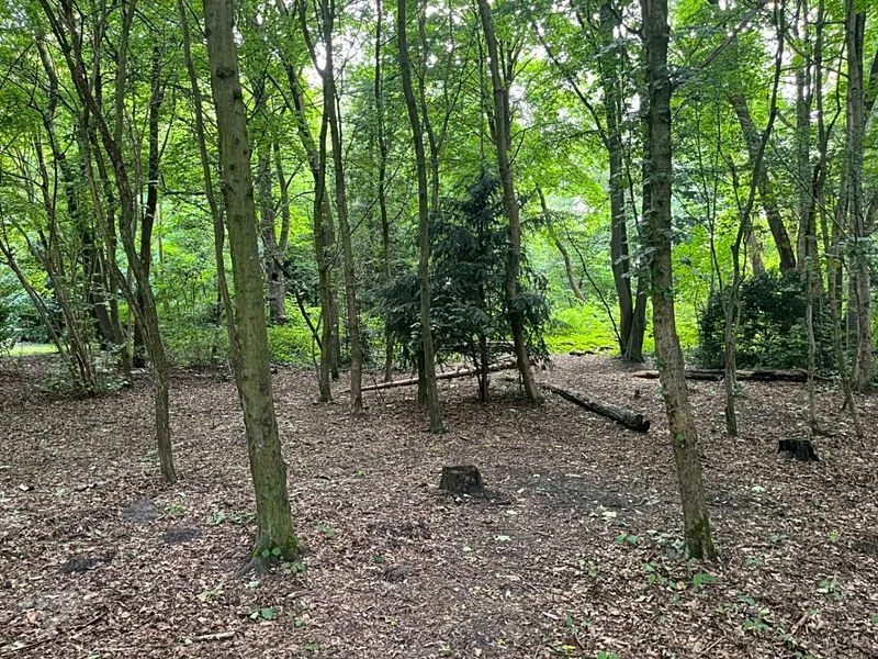 Waldspielplatz Teutonenweg (Pilzspielplatz) - der Schattenspender – Bild 19
