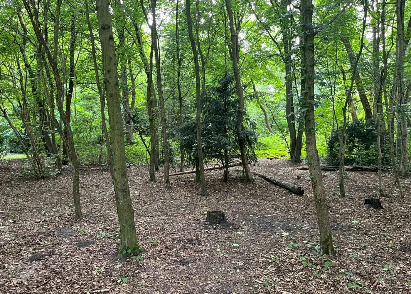Waldspielplatz Teutonenweg (Pilzspielplatz) - der Schattenspender – Foto 19