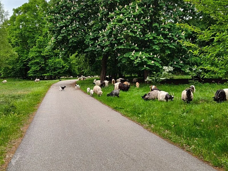 Boberger Niederung und Strand – Bild 12
