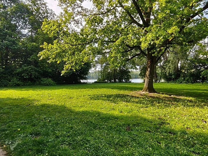 Wasserpark Dove-Elbe – Bild 9